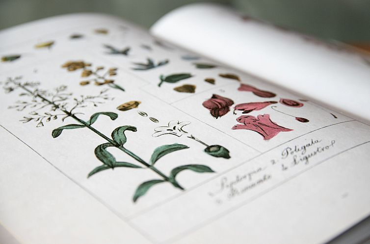 Vakantiehuis Quinette