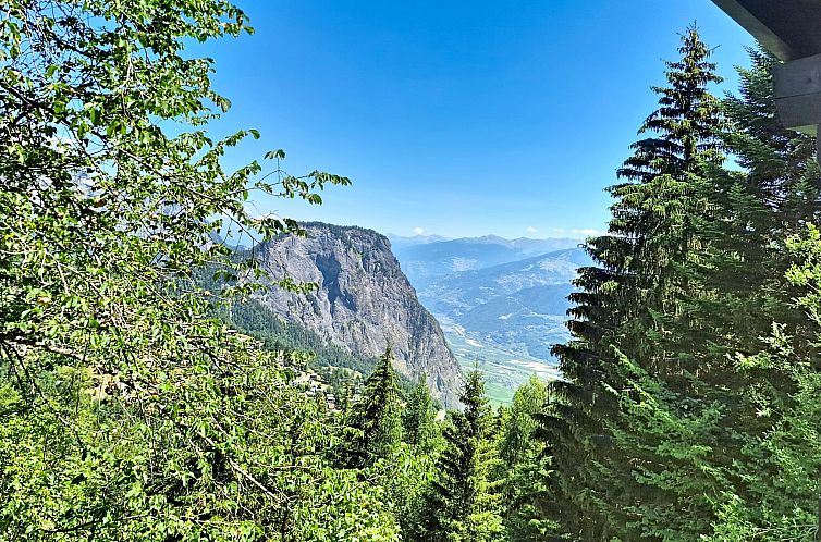 Vakantiehuis Le Mayen d'Ovronnaz