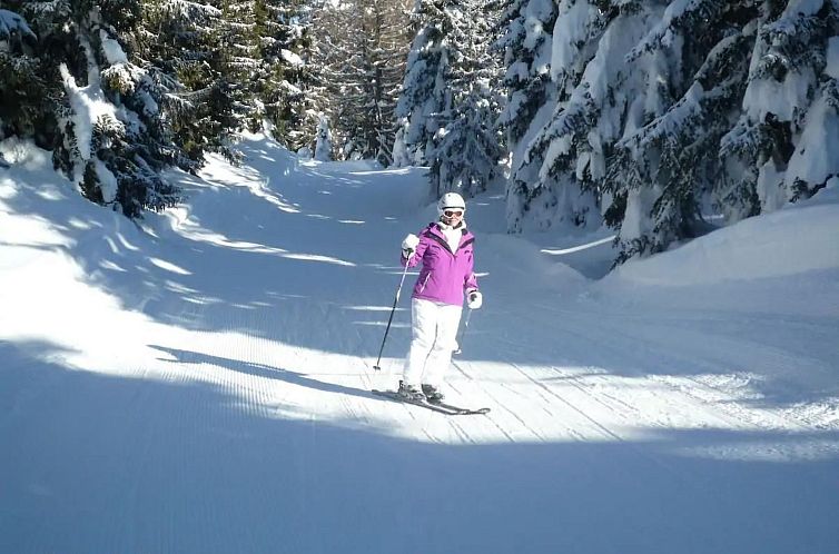 Appartement Zur Alten Mühle