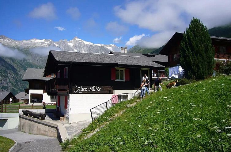 Appartement Zur Alten Mühle