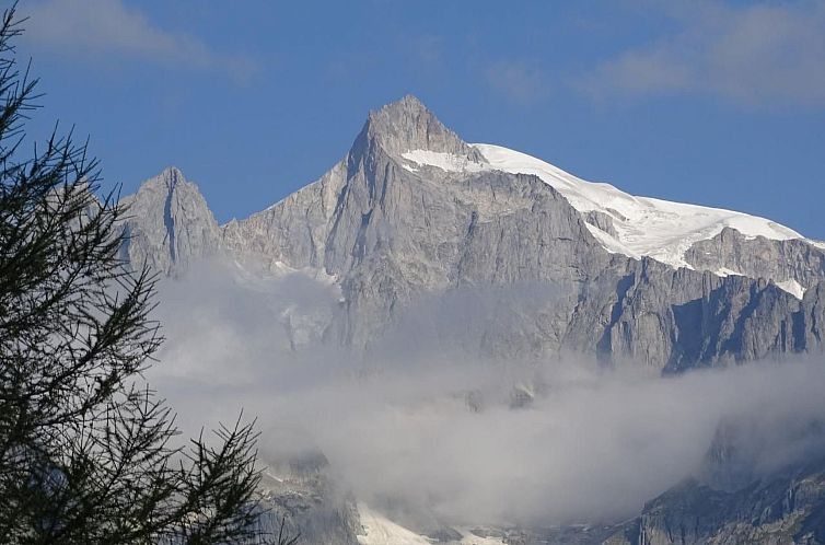 Appartement Chalet Stefanino, 2 1/2 Zimmer