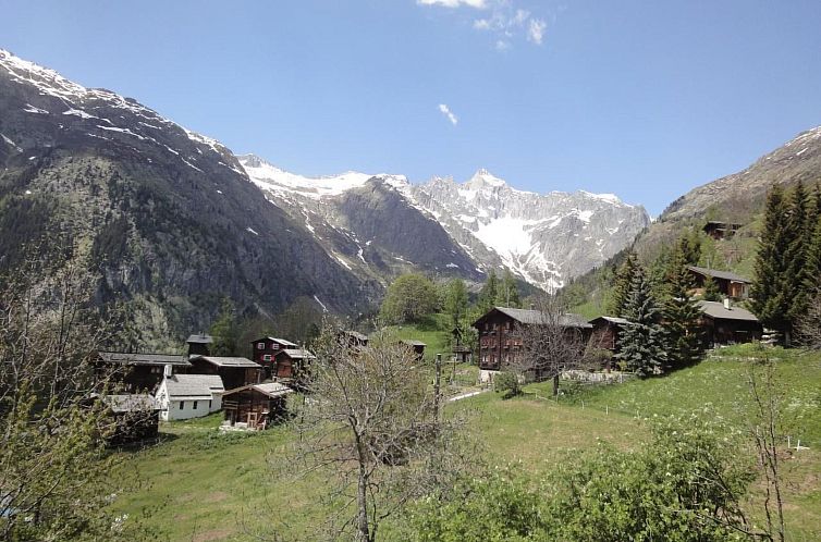 Appartement Chalet Stefanino, 2 1/2 Zimmer