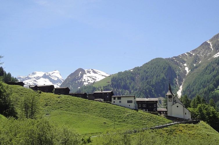 Appartement Chalet Stefanino, 3 1/2 Zimmer