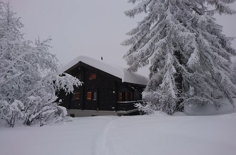 Vakantiehuis Chalet Abesiz