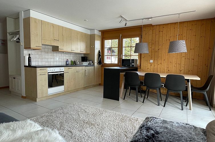 Appartement Wohnung Vieux Valais