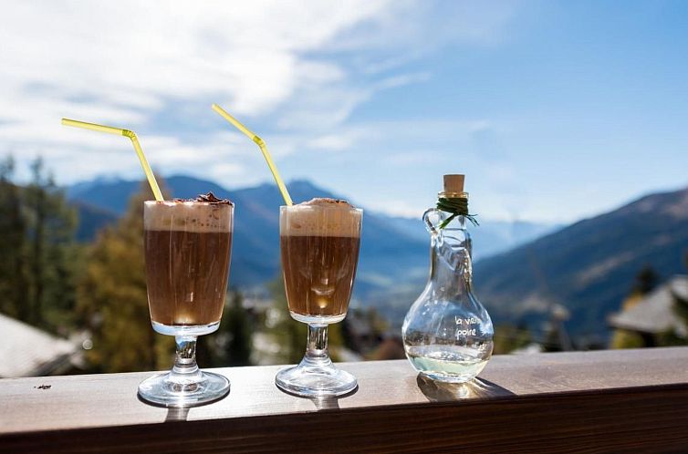 Vakantiehuis Chalet Heidelbeeri