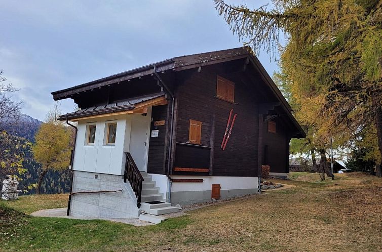 Appartement Chalet Männertreu OG