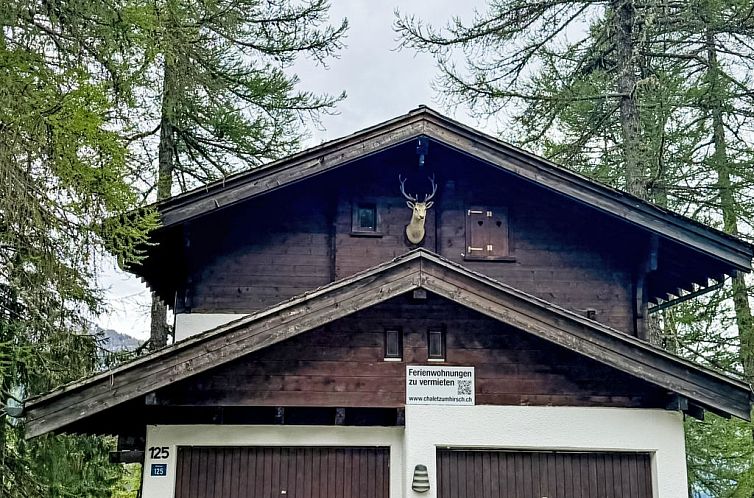 Appartement Apartment zum Hirsch - Attic