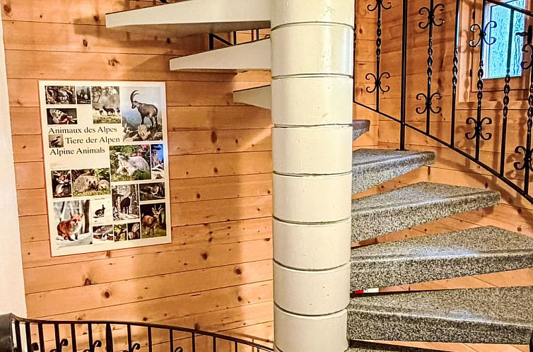 Appartement FeWo zum Hirsch - Erdgeschoss
