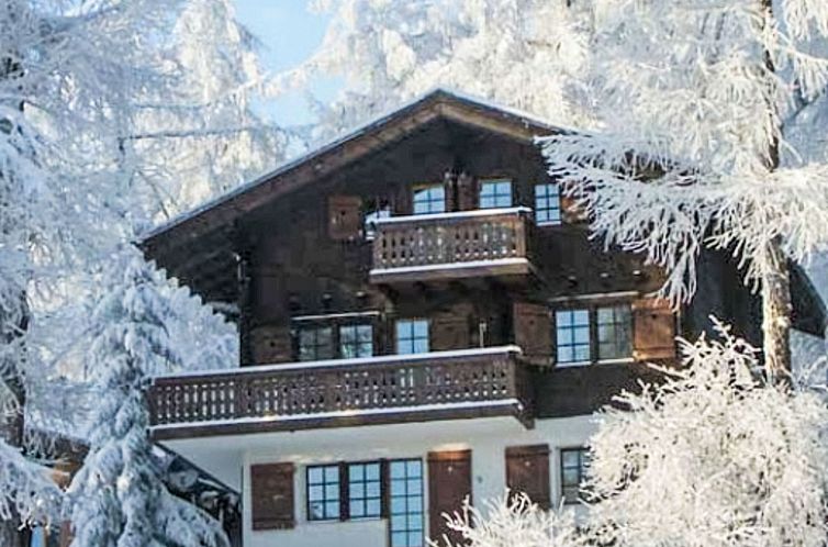 Appartement FeWo zum Hirsch - Erdgeschoss