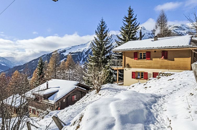 Vakantiehuis La Marmotte