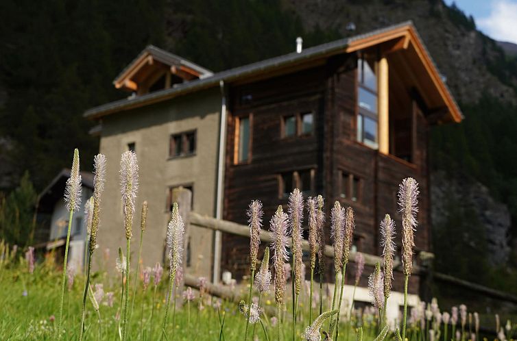 Appartement Ferienhaus Capricorn