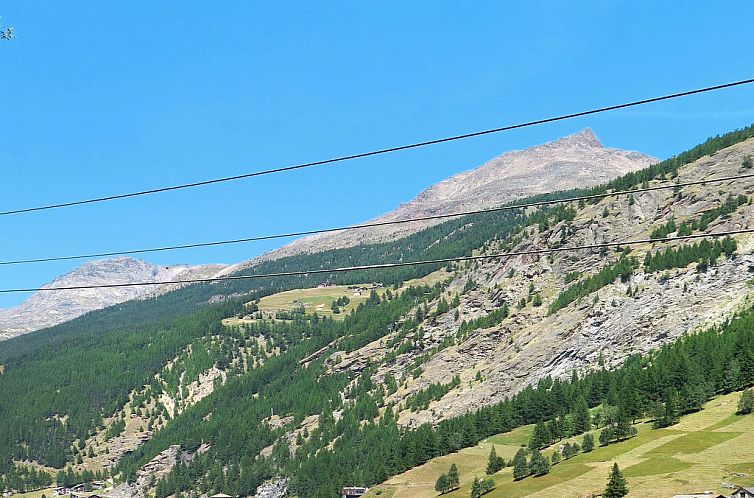 Appartement Amaryllis