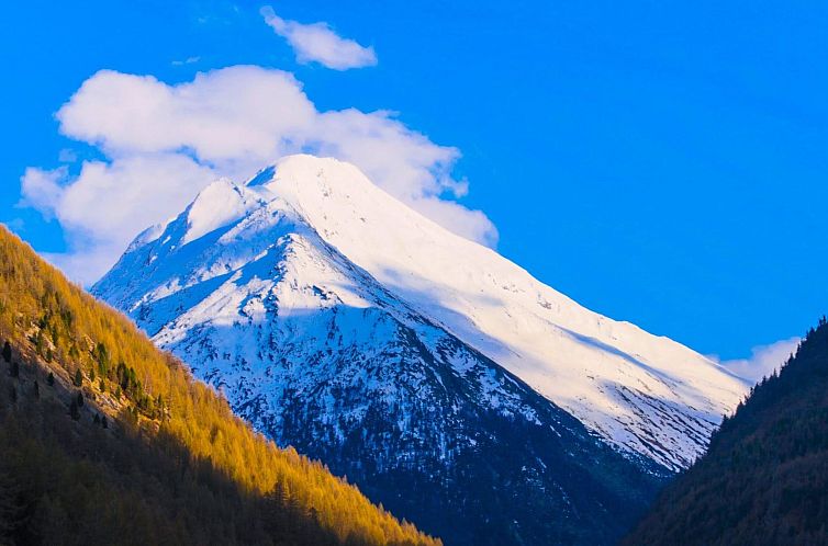 Appartement Monte Rosa