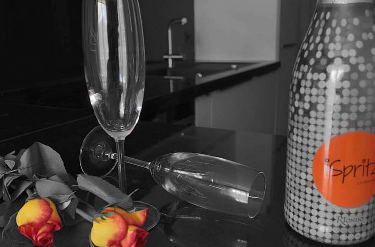 Appartement Monte Rosa