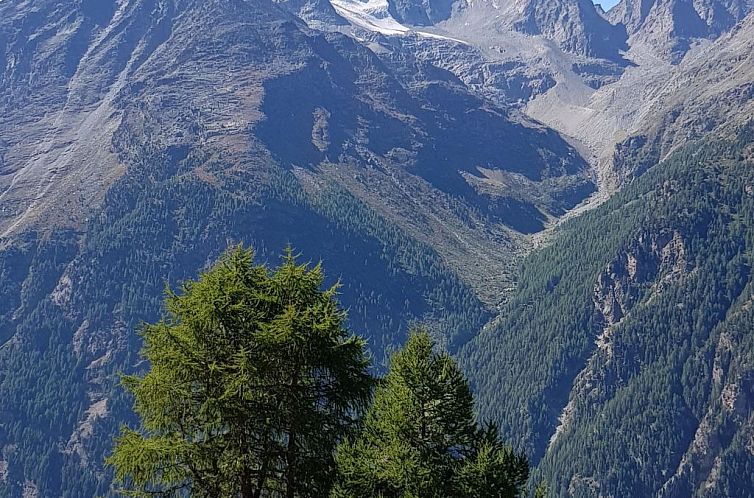 Appartement Saasunia