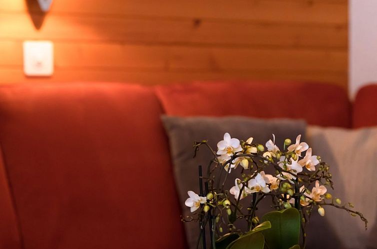 Appartement Saasunia