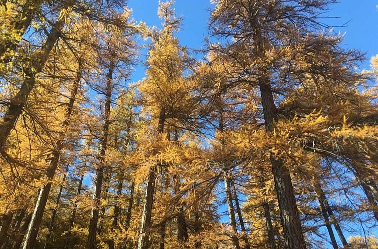 Appartement Apartments Carmena