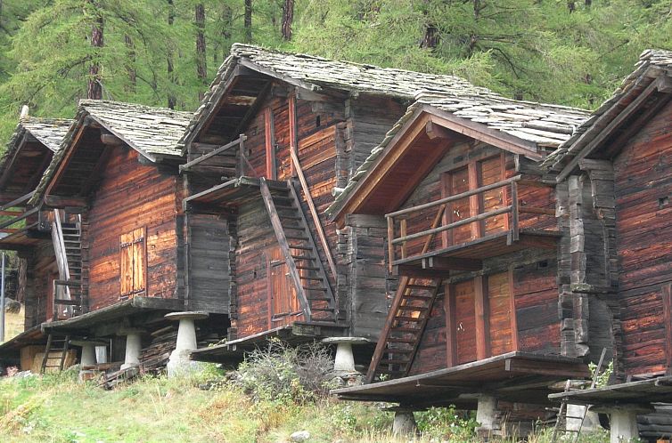 Appartement Ferienhaus Alea