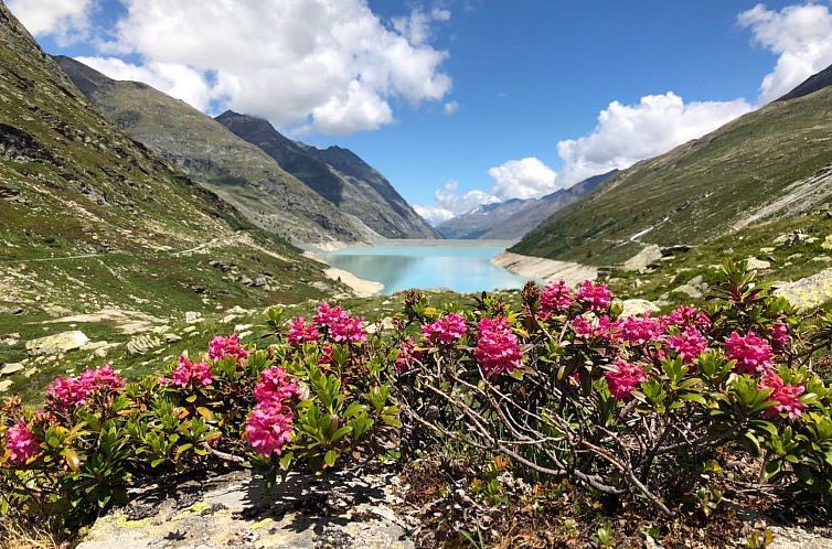 Appartement Ferienhaus Alea