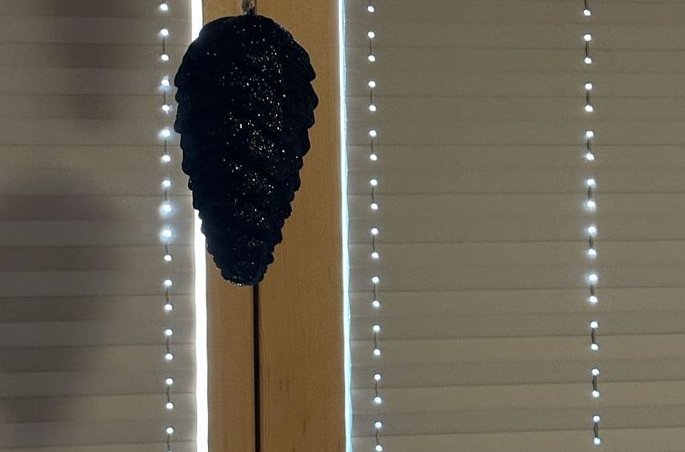 Appartement Bergfreude