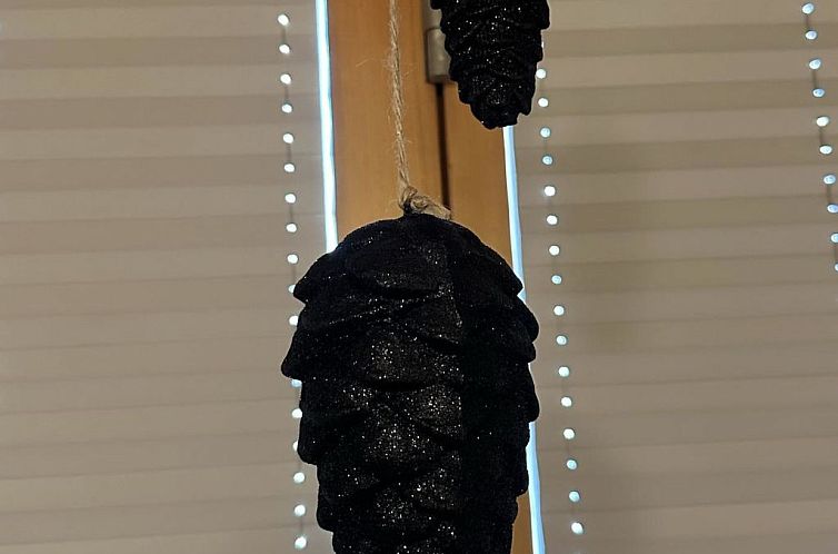 Appartement Bergfreude