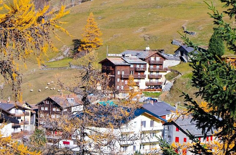 Appartement Monte Rosa Appartement/Fewo Appartement Strahlho