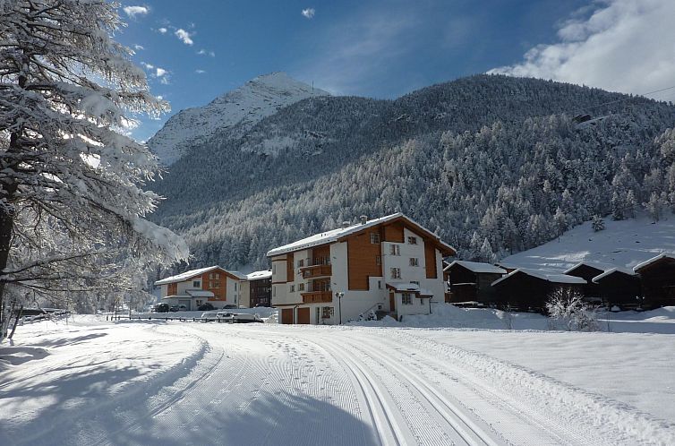 Appartement Studio Fletschhorn