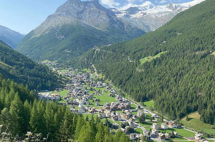 Appartement Studio Fletschhorn
