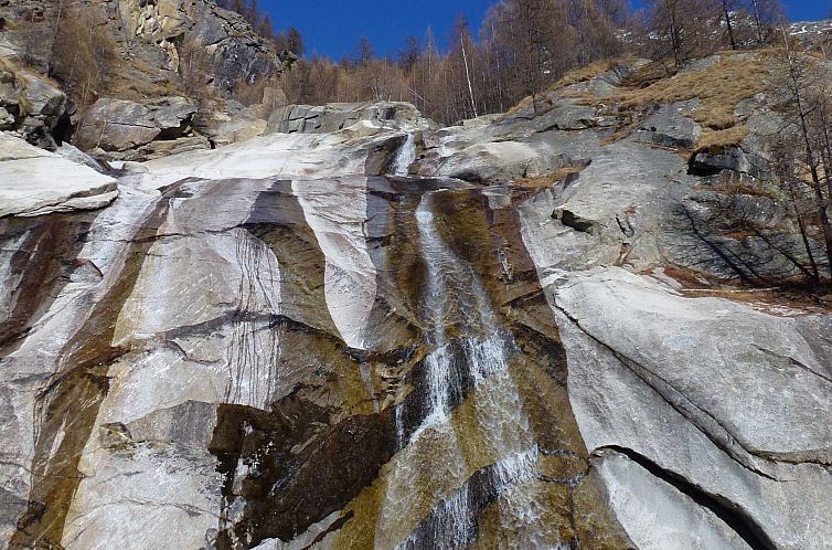 Appartement Theresli