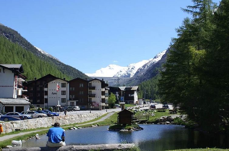 Appartement Chalet Alpenrösli