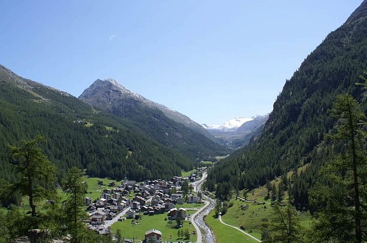Appartement Chalet Alpenrösli