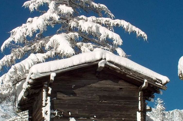 Appartement Chalet Alpenrösli