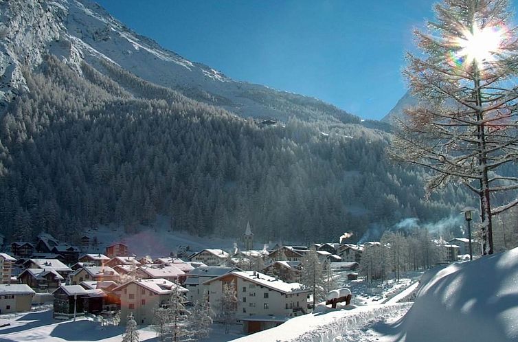 Appartement Chalet Alpenrösli