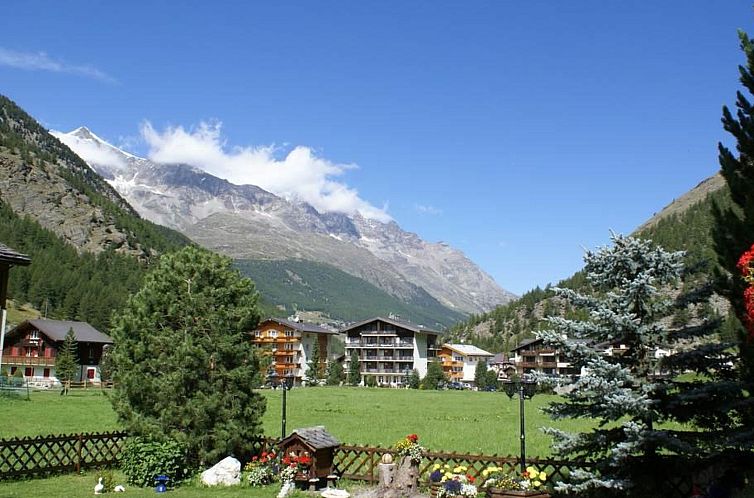 Appartement Chalet Alpenrösli