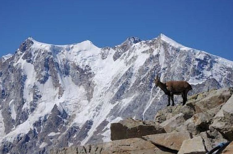 Appartement Haus Mondelli