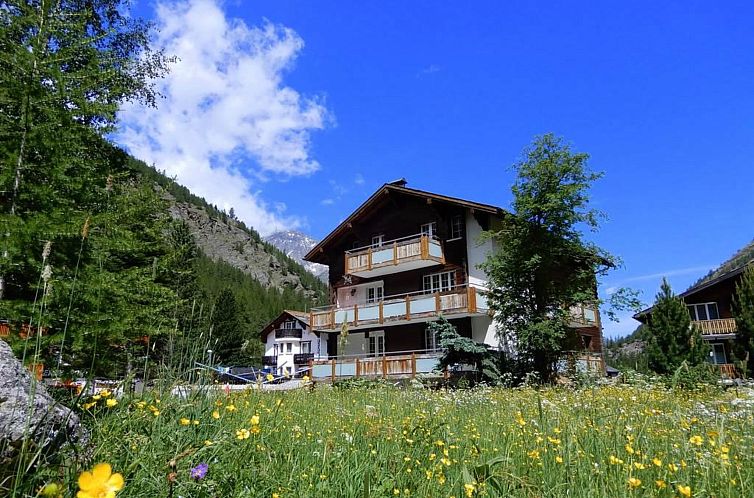 Guest house 1844932 - Apartment Wallis / Valais - Appartement Alpenperle Appartement/Fewo 5-Bettwohnung
