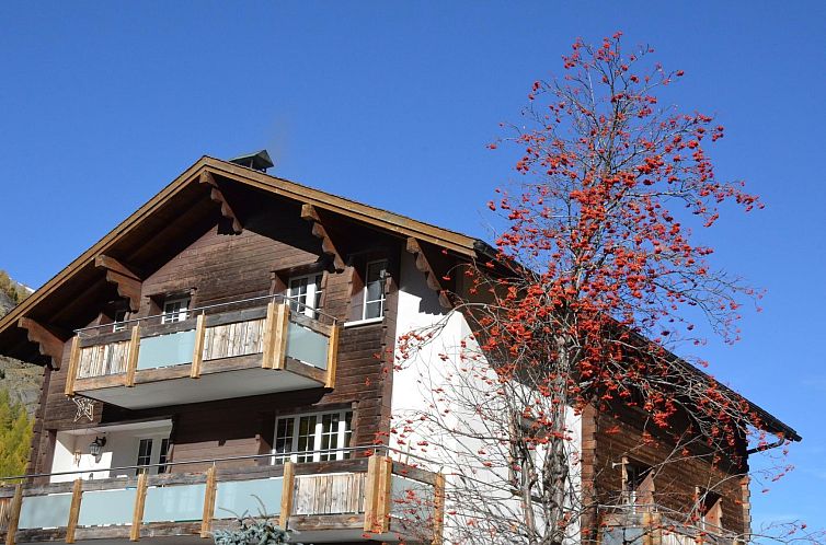 Appartement Alpenperle Appartement/Fewo 5-Bettwohnung