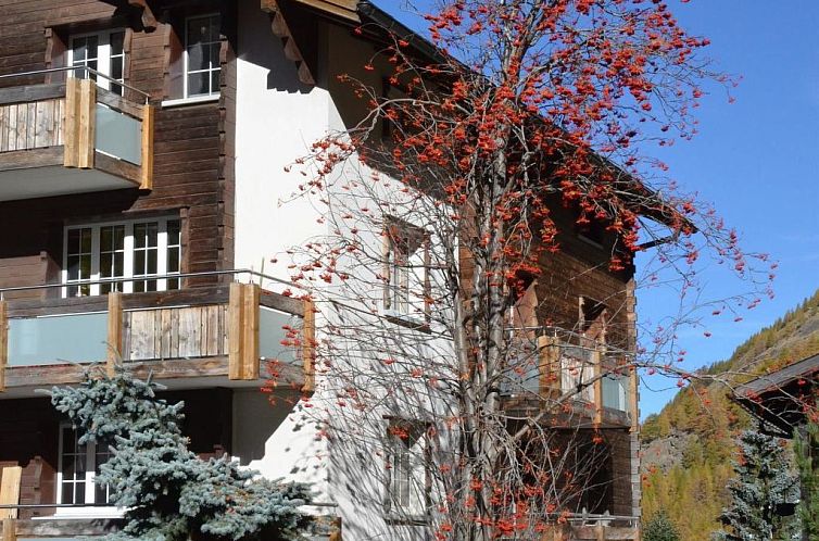 Appartement Alpenperle Appartement/Fewo 6-Bettwohnung
