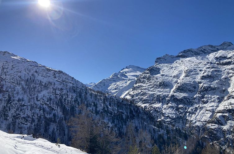 Appartement Alpin Relax Appartement/Fewo Appartement/Fewo