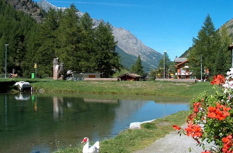 Appartement Haus Alpenrose Appartement/Fewo Alpenrose 3-Bett