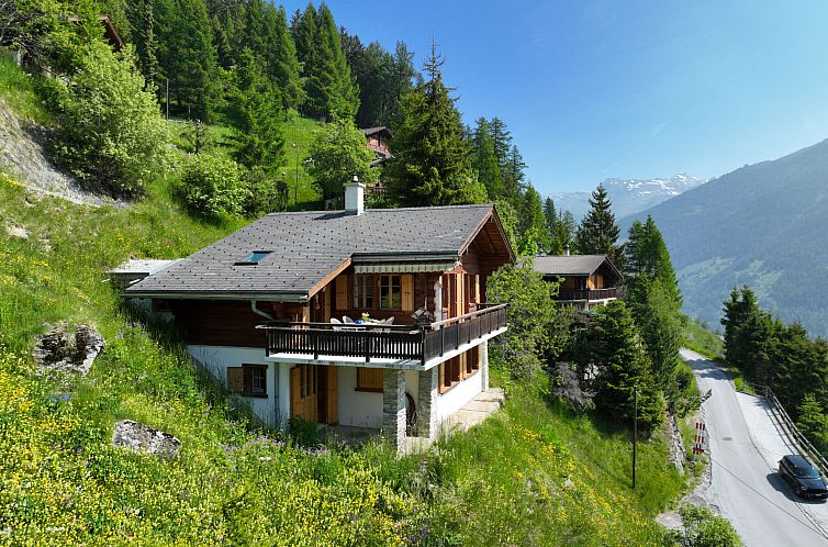 Vakantiehuis Les Clarines