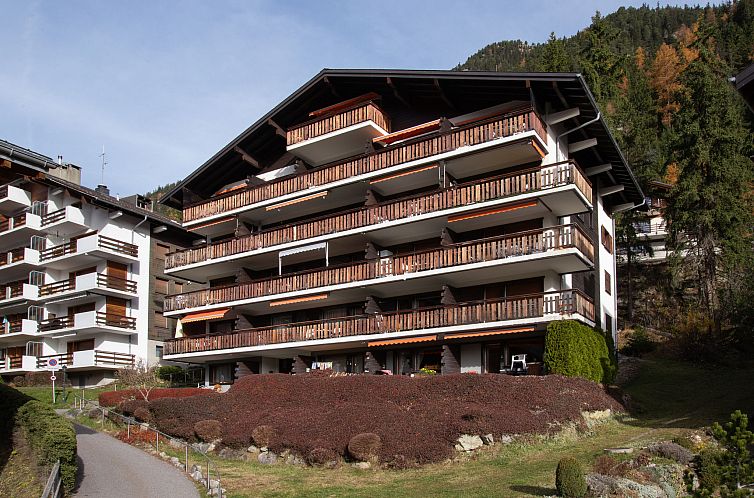 Appartement Parc B 431