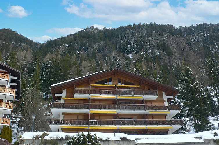 Appartement Parc C013