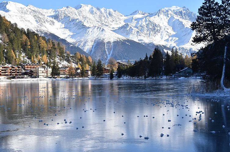 Appartement Colline 3