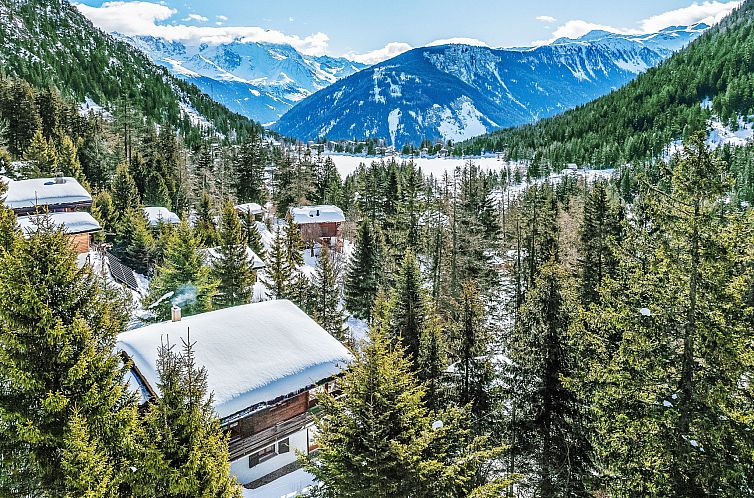 Vakantiehuis Veni, Vidi, Mansi