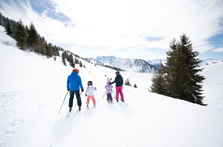 Appartement L'Ecrin de Torgon in den Portes du Soleil