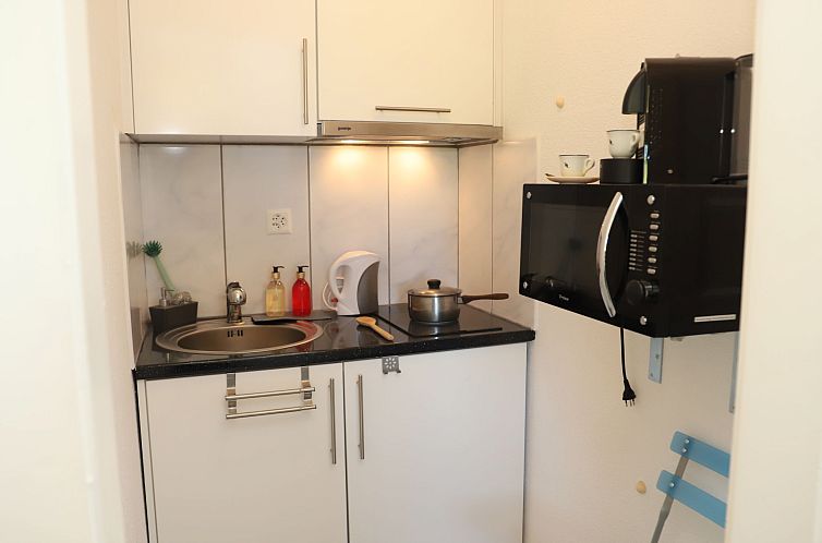 Appartement Rosablanche D26