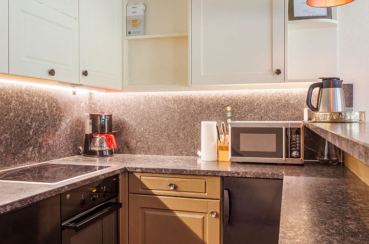 Appartement Dents Rousses B4