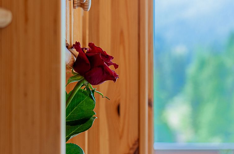 Appartement Rosablanche B72